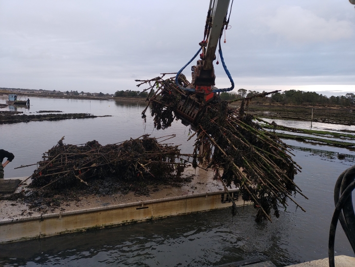 Nettoyage de parcs_2.jpg